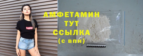 хмурый Няндома