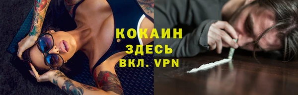 хмурый Няндома