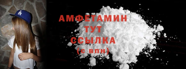 хмурый Няндома