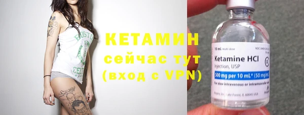 прущие грибы Дмитриев