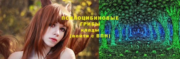 молекула духа Новокубанск