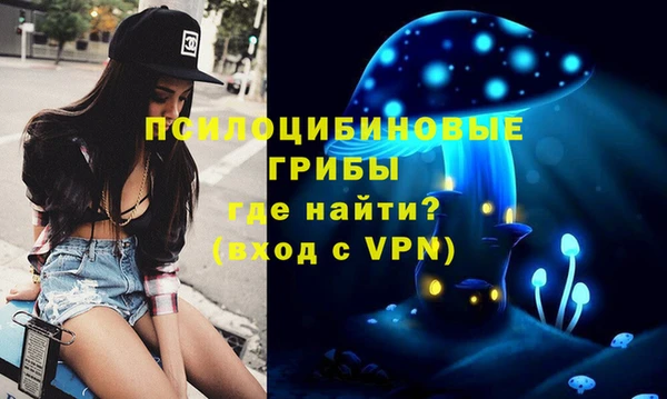 хмурый Нягань