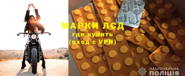 хмурый Няндома