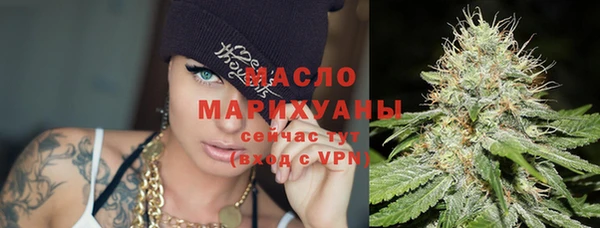 хмурый Няндома