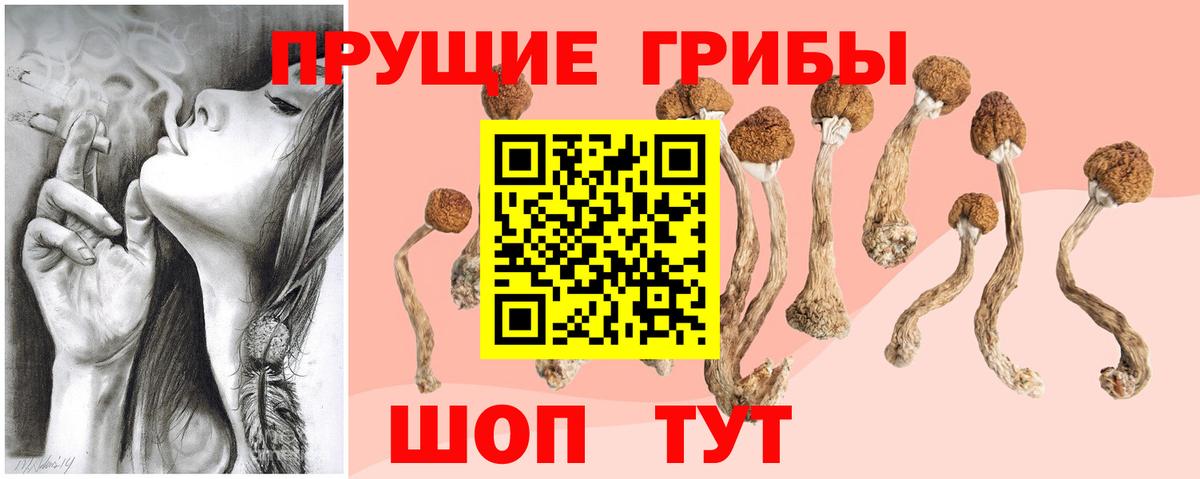 Псилоцибиновые грибы ЛСД Краснотурьинск